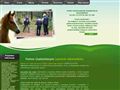 Uzale�nienia