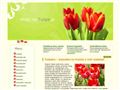 Tulipany uprawa