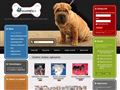 Psy rasowe i rodowodowe szczeni�ta z czo�owych hodowli.