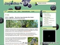 Bor�wka
