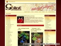 Goliat Sp. z o.o. - Sklep Internetowy | Dekoracje | Ozdoby | Witamy - Strona g��wna