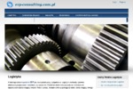 ERP Consulting