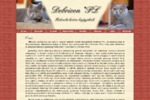 Hodowla kot�w brytyjskich - Debricon*PL