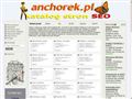 Tworzenie stron internetowych Lubliniec