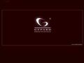 Producent portfeli