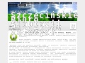 Adaptacja projekt�w