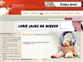 Napisy.com.pl - napisy do film�w, seriali, t�umaczenia, teksty.