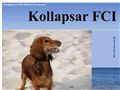 Kollapsar FCI - domowa hodowla jamnik�w d�ugow�osych standardowych